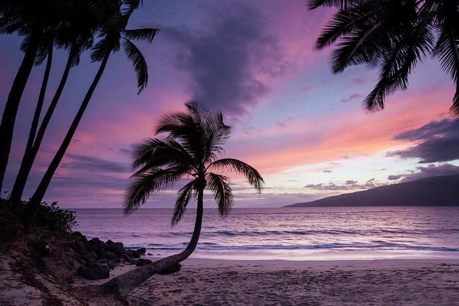 Maui Moments Photograph by James Roemmling