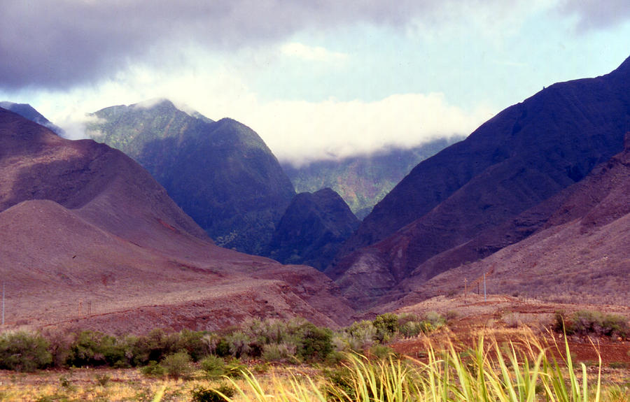 Maui Mounds 3 Photograph by Harvie Brown