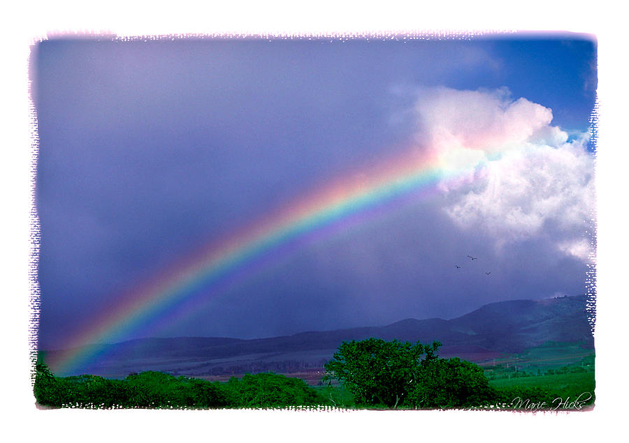 Maui Rainbow Photograph by Marie Hicks