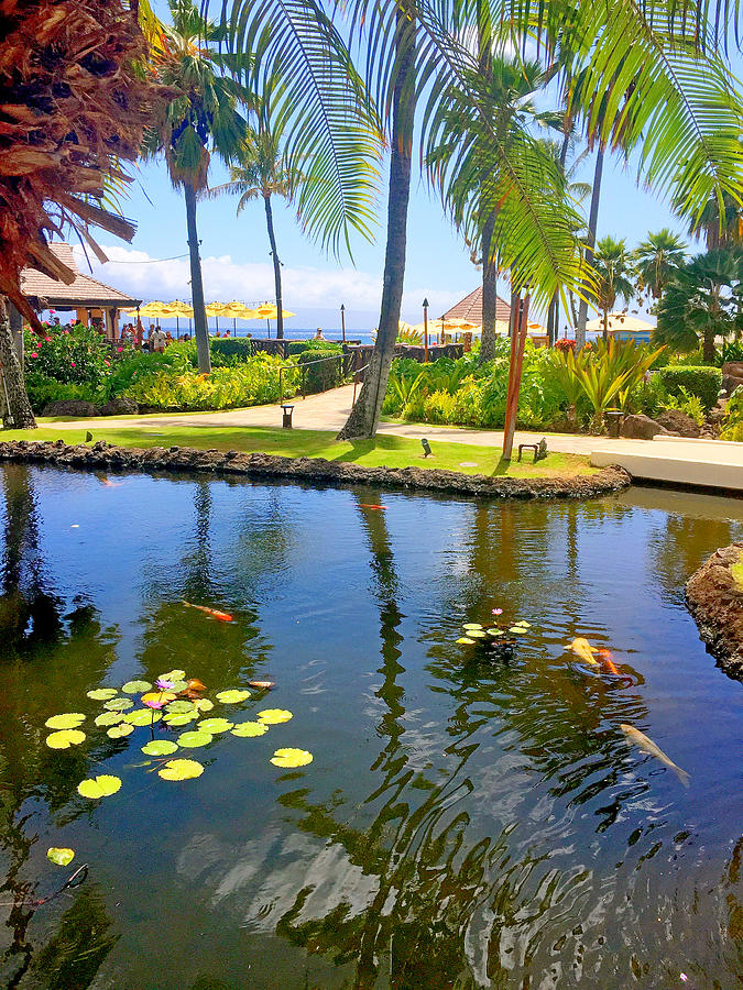 Maui Resort Life Photograph by Robert Meyers-Lussier