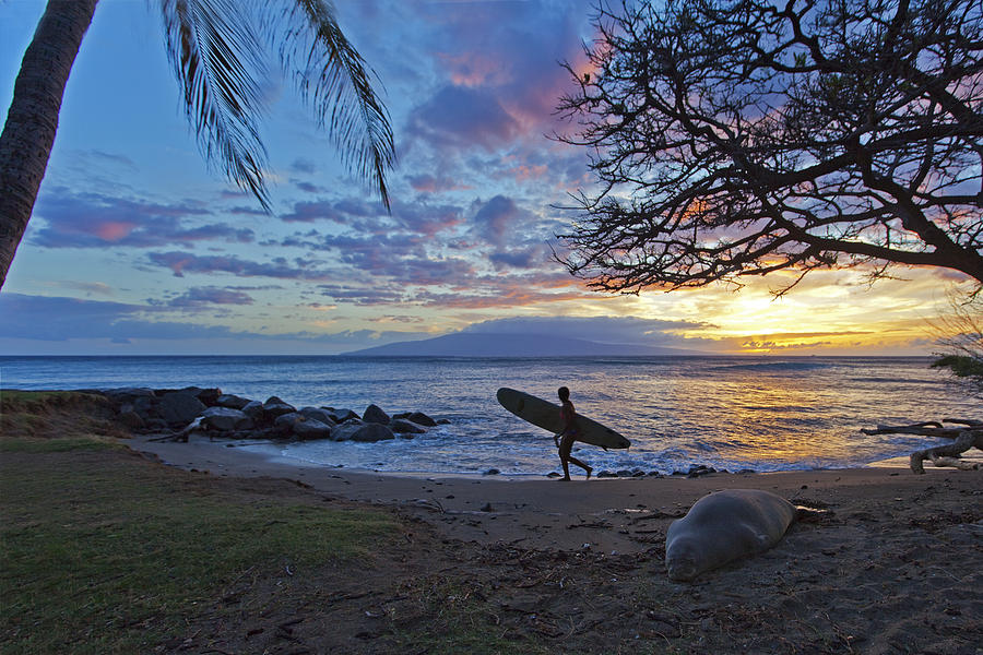 Maui Style Photograph by James Roemmling