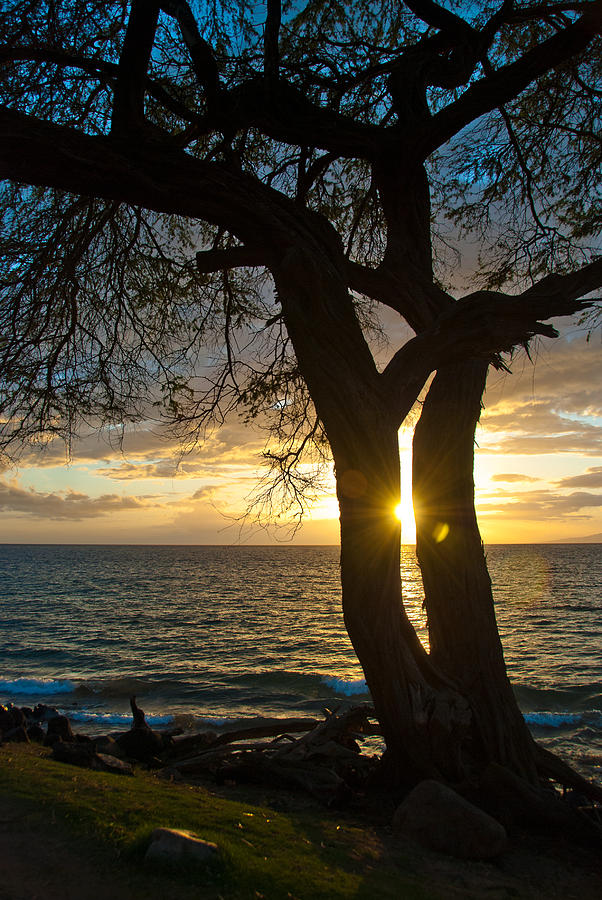 Maui Sunburst, Hawaii Photograph by Preston Broadfoot - Fine Art America