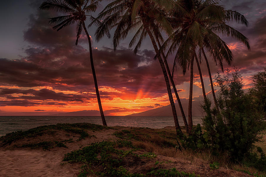 Maui Sunset 1 Photograph by Susan Rissi Tregoning
