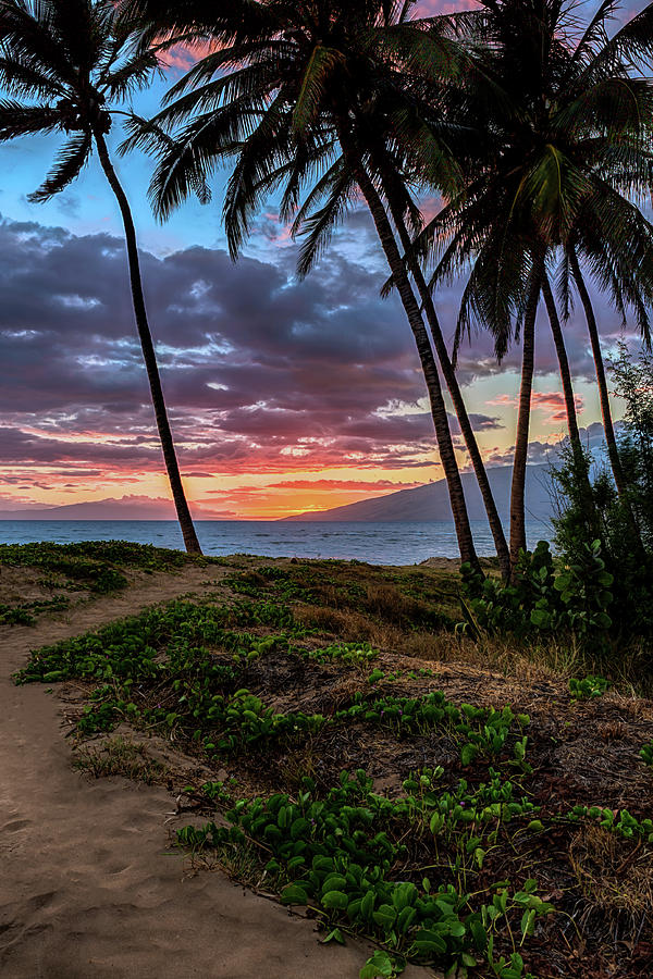 Maui Sunset 2 Photograph by Susan Rissi Tregoning