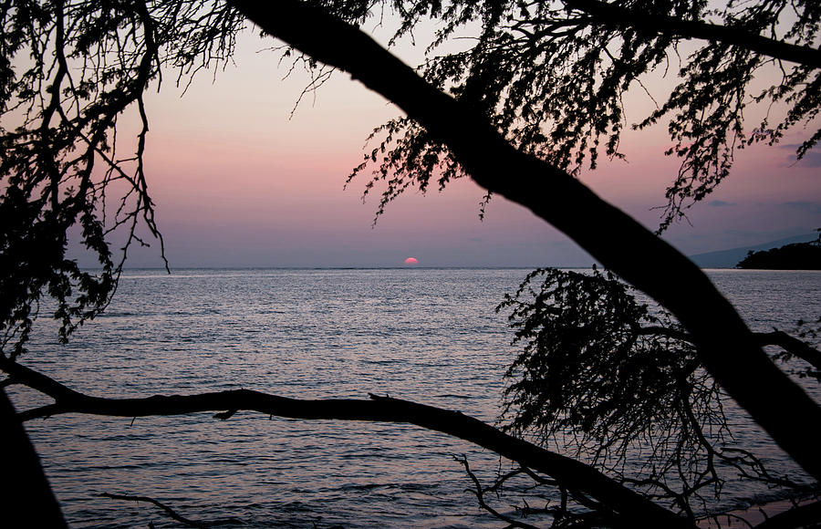 Maui Sunset Photograph by Jennifer Ancker