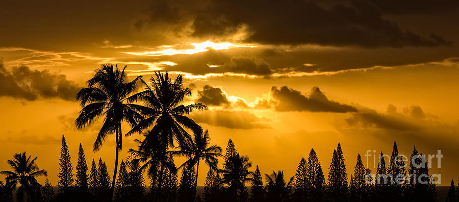 Maui Sunset Photograph by Patti Schulze