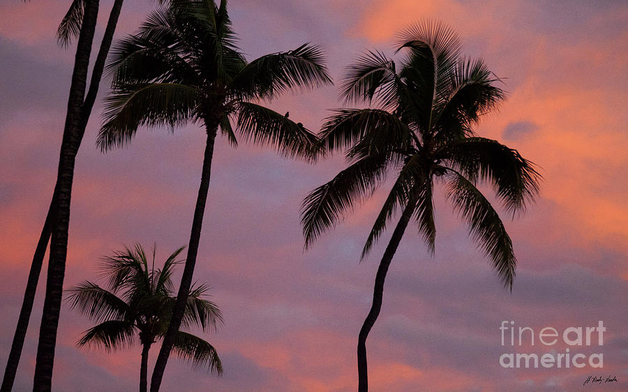 Maui Sunset-Signed-#3381 Photograph by J L Woody Wooden