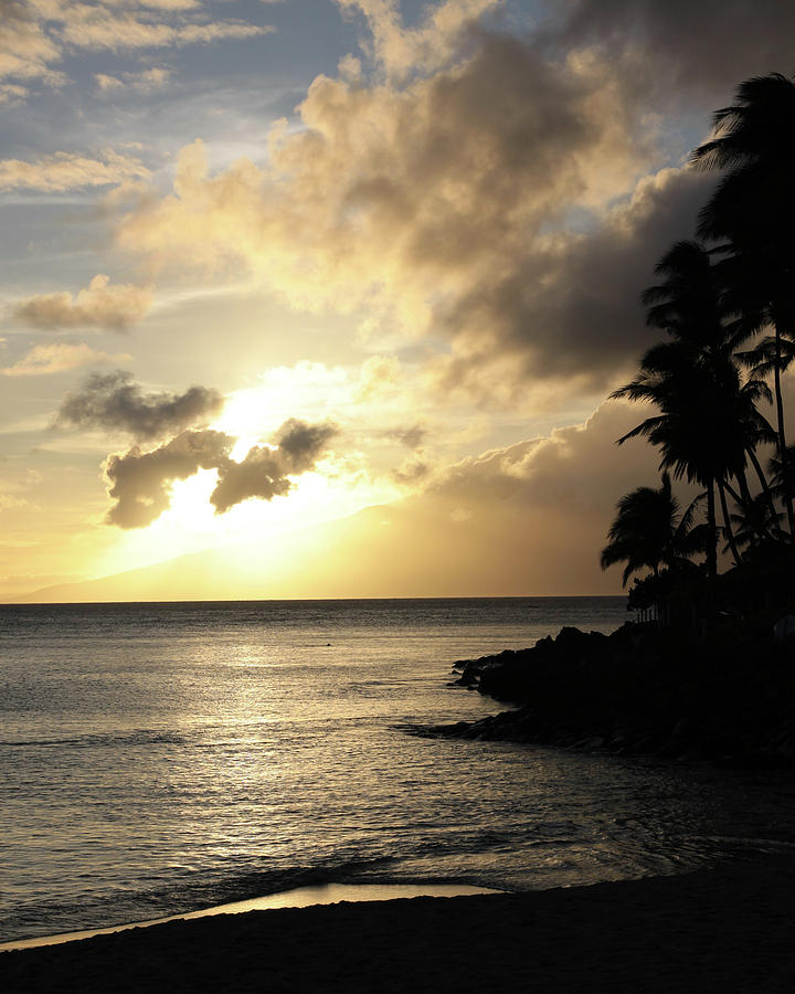 Maui Sunset Vertical Photograph by Harold Rau