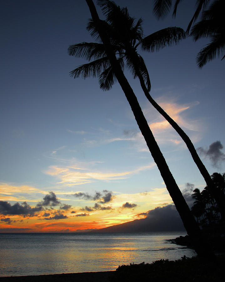 Maui Sunset with Palm trees Photograph by Harold Rau