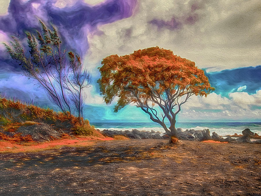 Maui Trees ... Photograph by Chuck Caramella