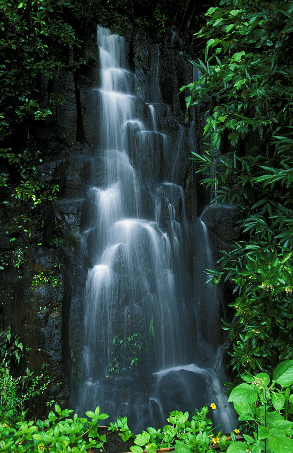 Cool Photograph - Maui Waterfall by Ron Dahlquist - Printscapes