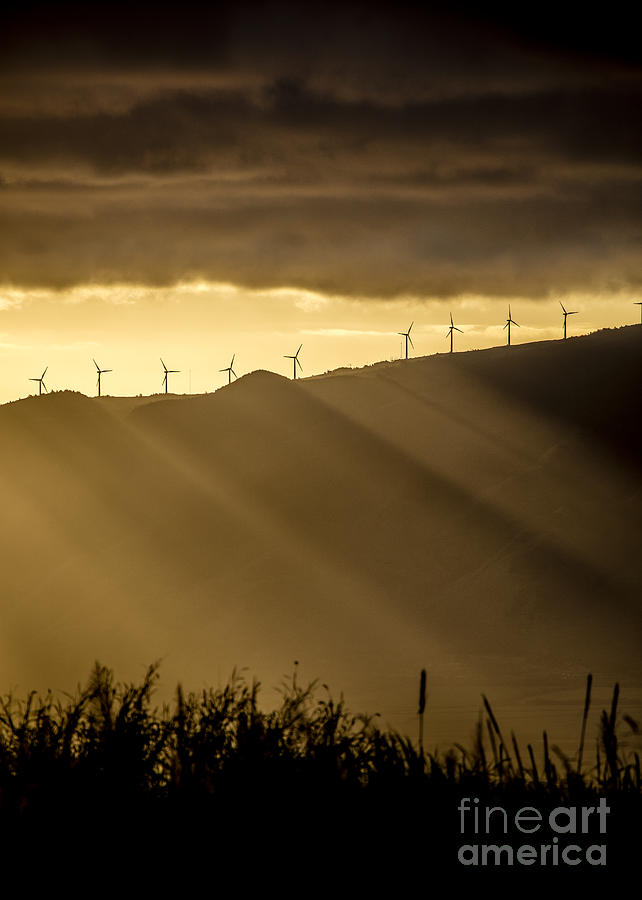 Maui Wind Farm Sunset Photograph