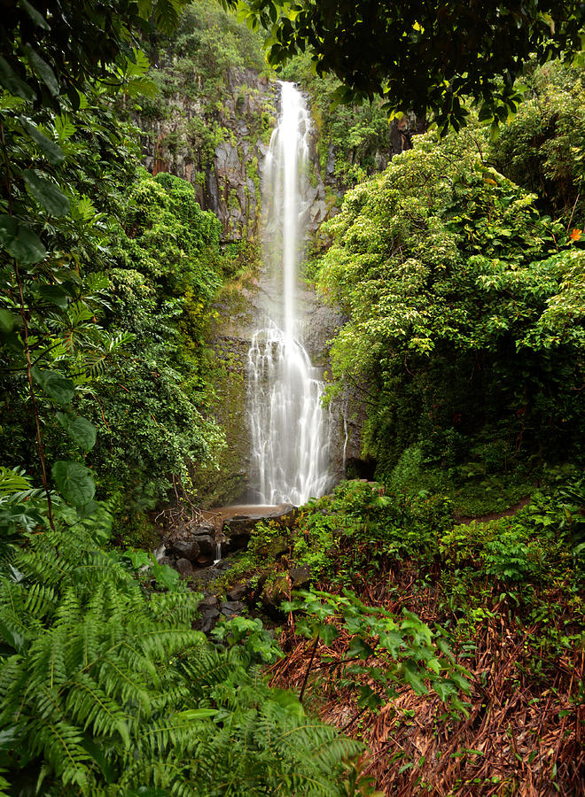 Mauis Wailua Falls Photograph by Susan Rissi Tregoning