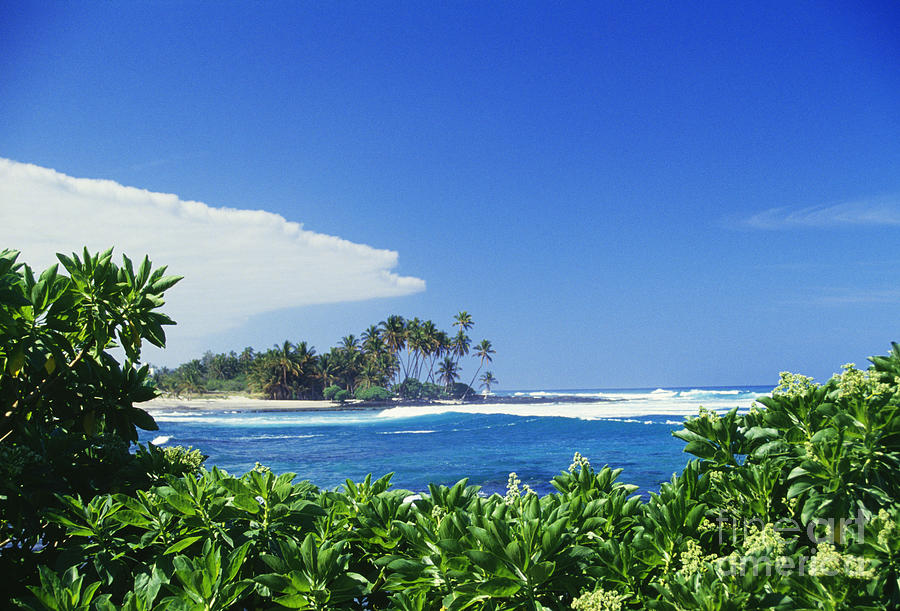 Mauna Lani Beach Photograph By Bob Abraham Printscapes Fine Art America