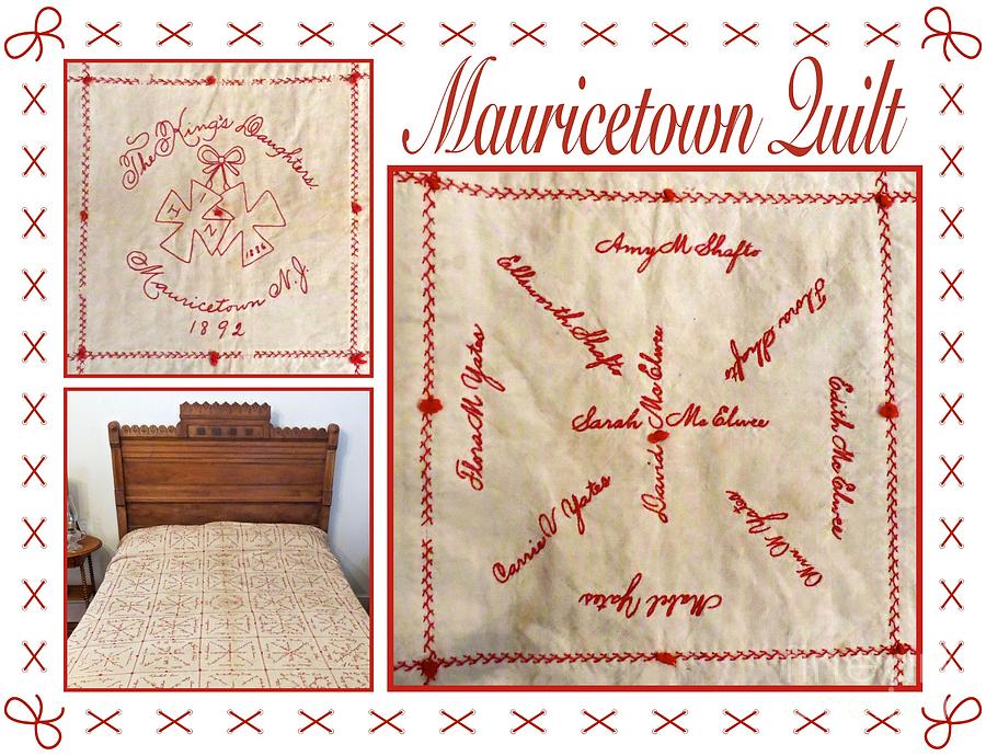 Mauricetown Quilt Photograph by Nancy Patterson