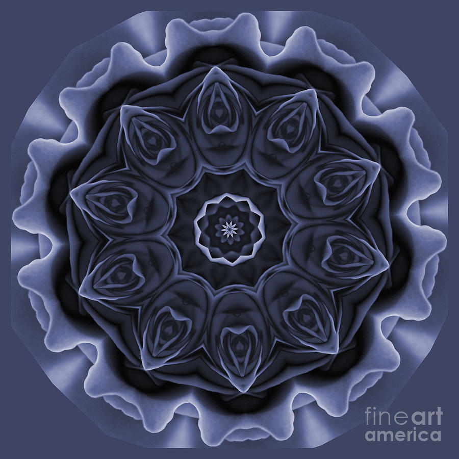 Mauve Rose Mandala Digital Art by Julia Underwood