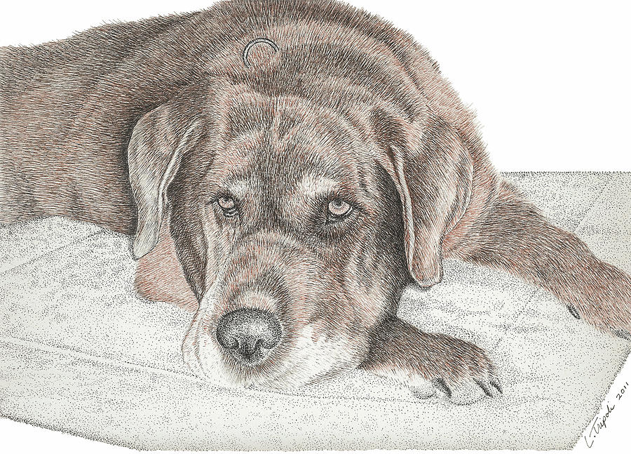 Max Drawing by Lawrence Tripoli