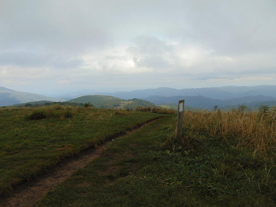 Max Patch Photograph by Richie Parks