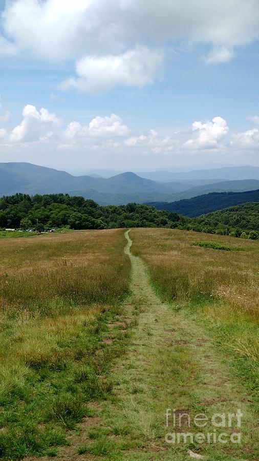 Max Patch Trail Summer Photograph by Anita Adams