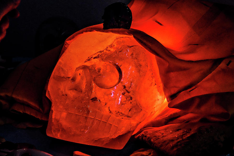 Max The Ancient Sacred Crystal Skull Photograph