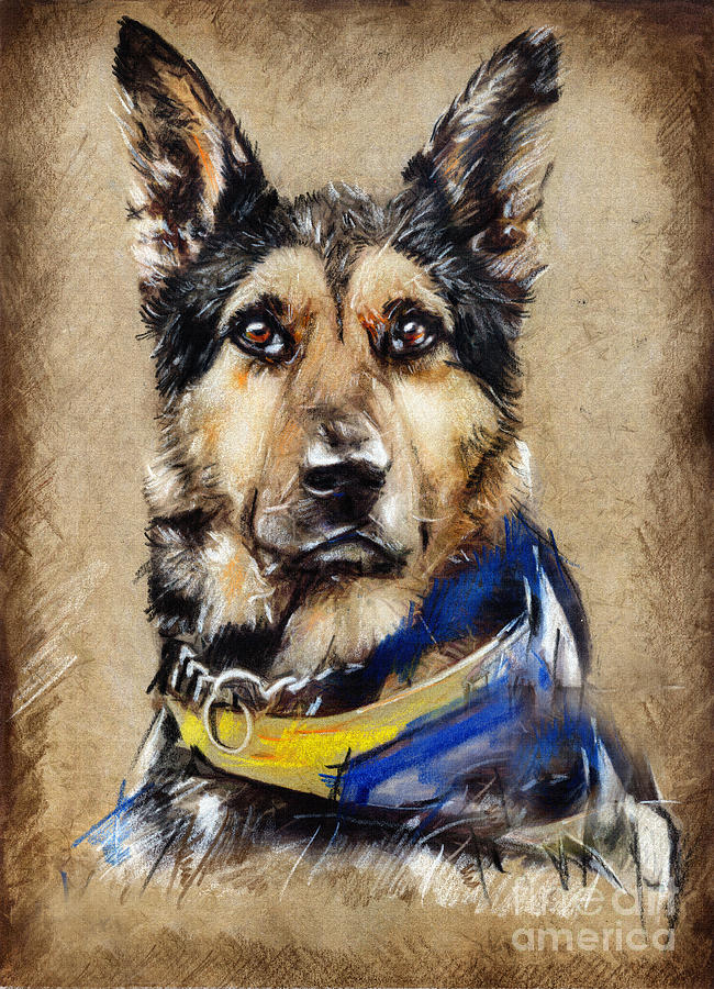 Max The Military Dog Drawing by Daliana Pacuraru