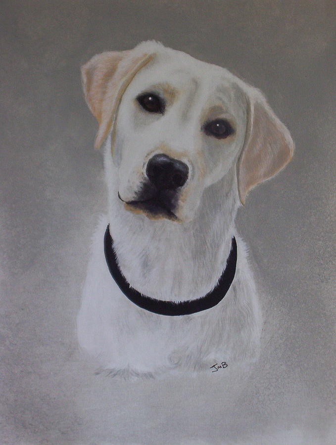 Dog Painting - Maxie by Janice M Booth