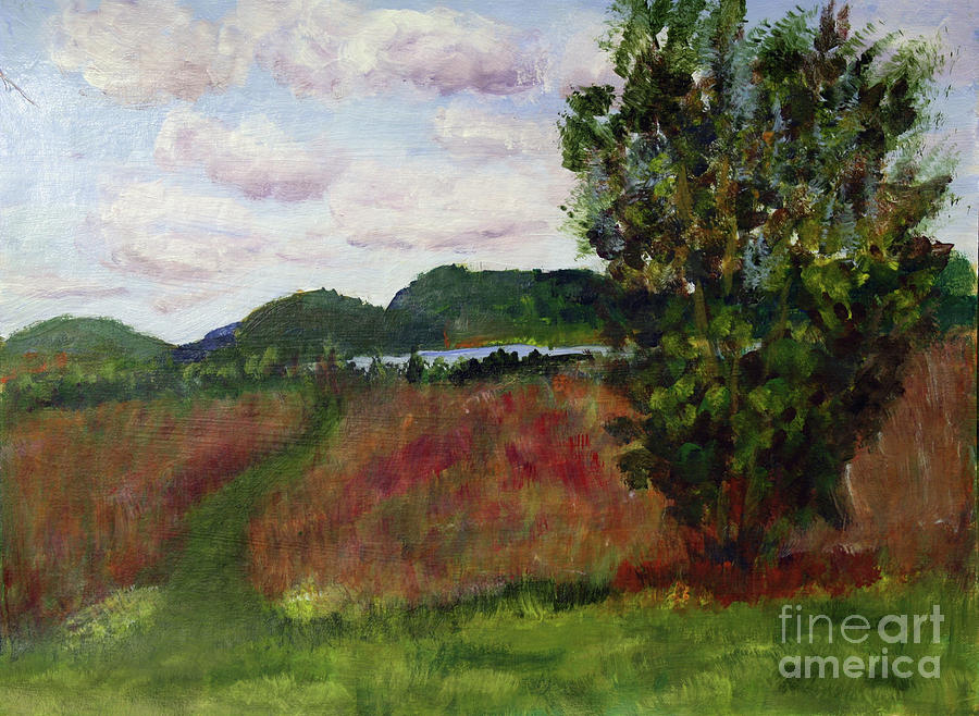 Maxwell Farm Grass Waterway Painting by Donna Walsh
