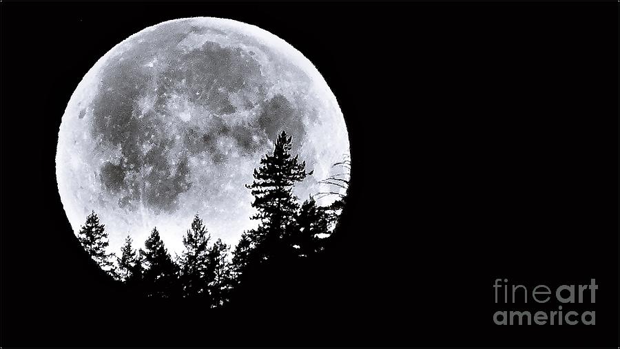 May 4 Moon Set by Julia Hassett May 4 Moon Set by Julia Hassett