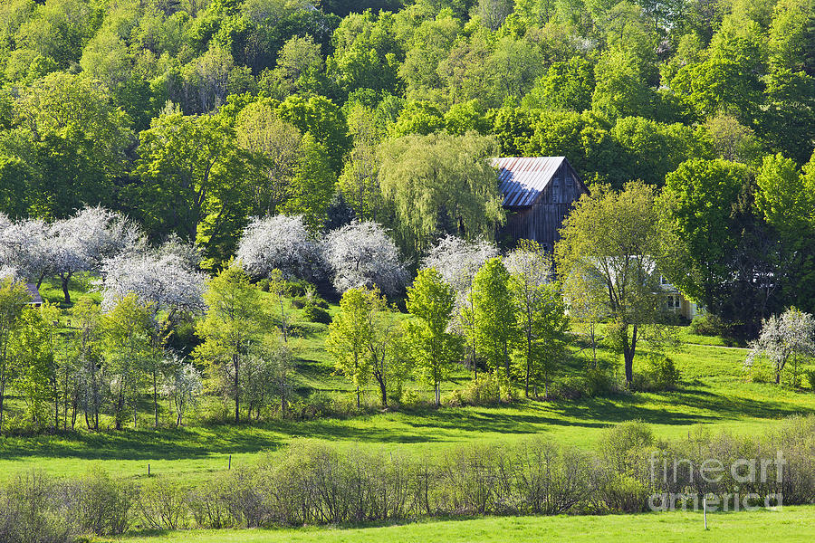 Spring Photograph - May Countryside by Alan L Graham