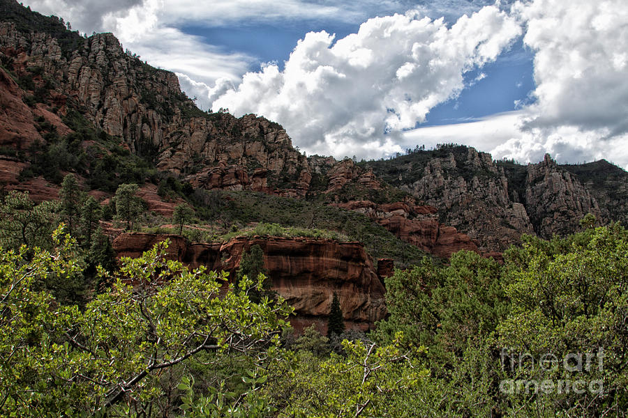 May day in Sedona Photograph by Ruth Jolly | Fine Art America