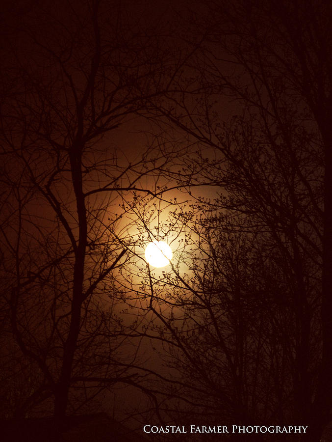 May Moon Photograph by Becca Wilcox