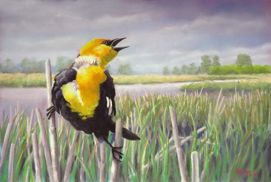 Blackbird Pastel - May Morning at Moonans Marsh by Marcus Moller