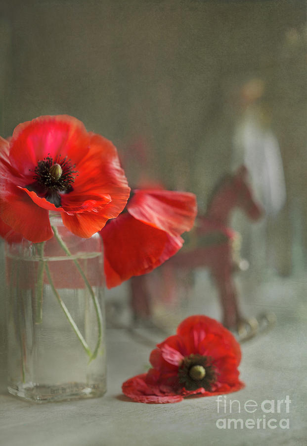 May Poppies Photograph by Elena Nosyreva
