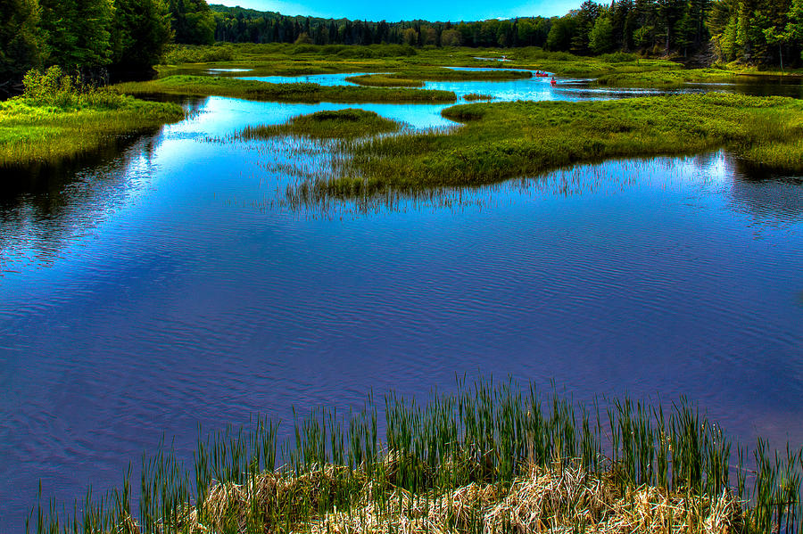 Nature Photograph - May Reflections on the Moose River by David Patterson