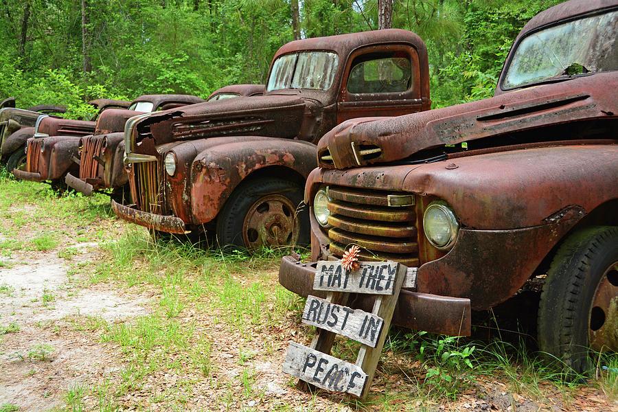 May They Rust in Peace Photograph by Ben Prepelka