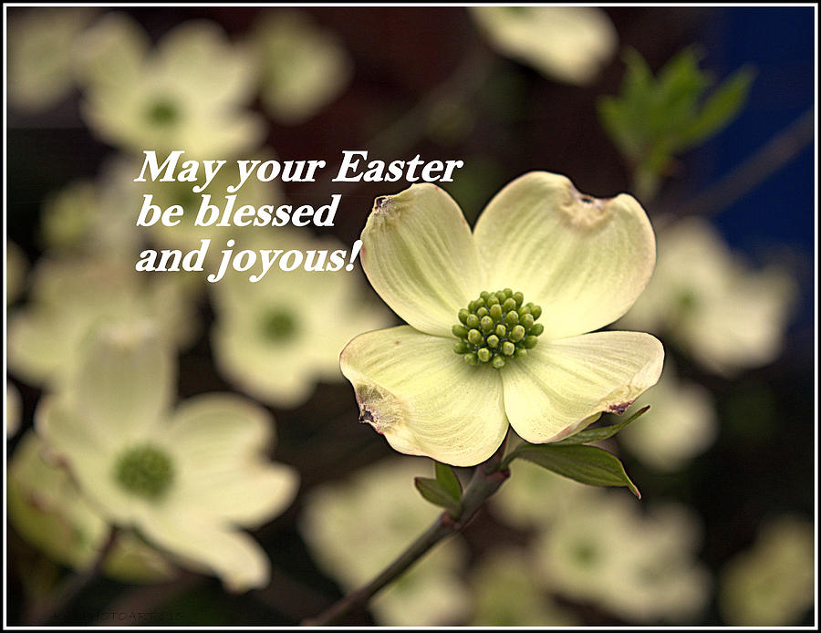 May Your Easter Be Blessed Photograph by Kathy Barney