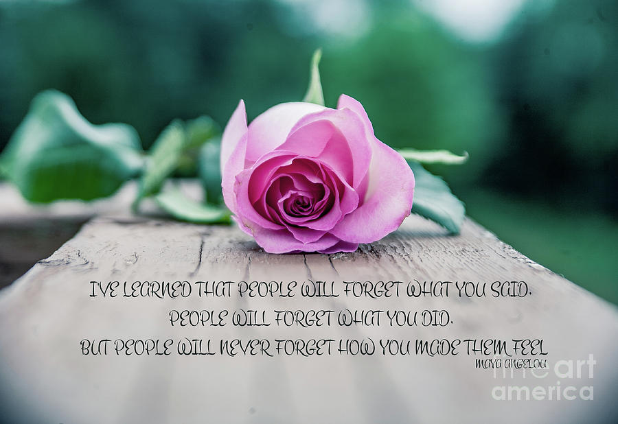 Maya Angelou Quote And Rose Digital Art
