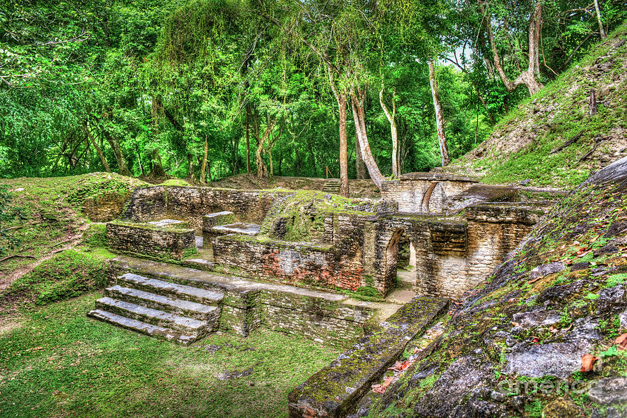 Mayan Ruin Steps To Kings Chambers Photograph