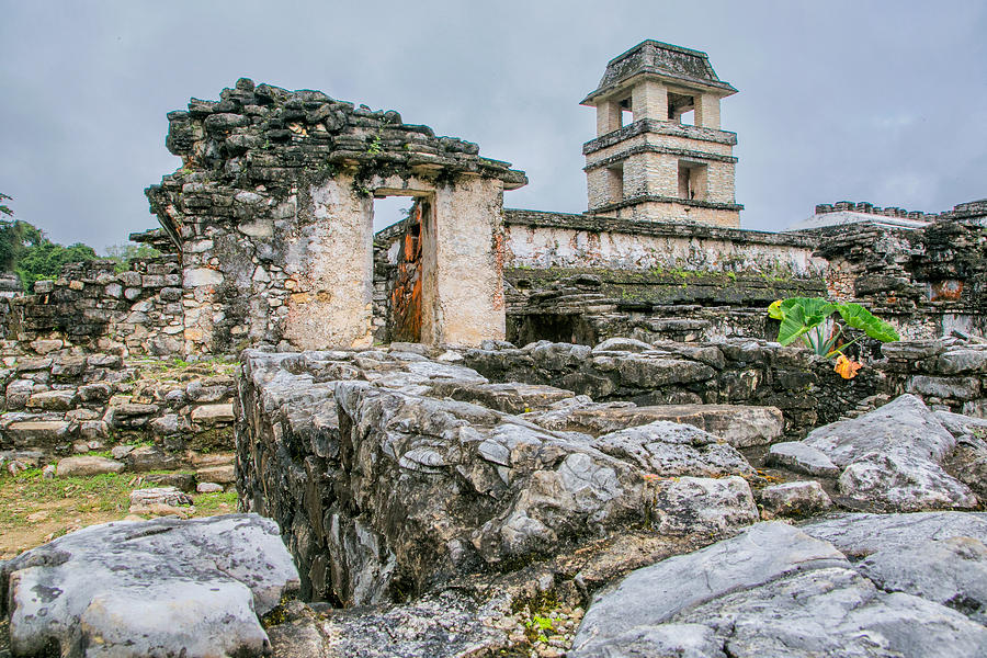 Mayan Ruins at Palenque Photograph by Jurgen Lorenzen