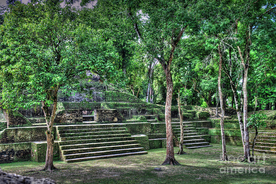Mayan Site San Ignacio 3 Photograph