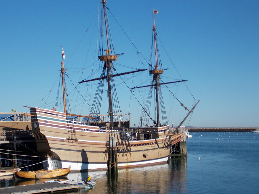 Mayflower 2 Photograph by Catherine Gagne