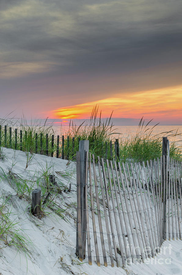 Summer Photograph - Mayflower Beach by Mike Ste Marie
