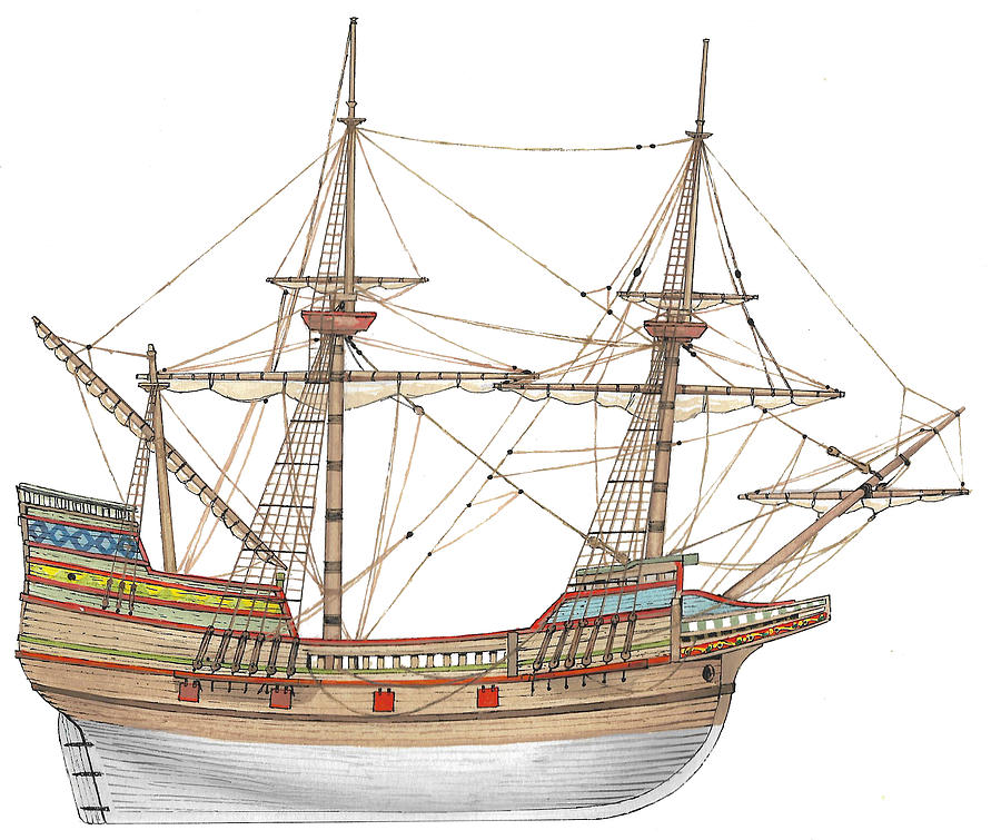 Mayflower Drawing by The Collectioner Pixels