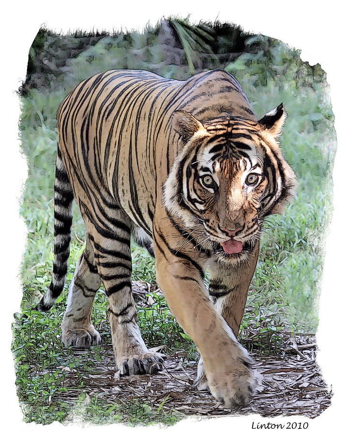 Maylayan Tiger Digital Art by Larry Linton