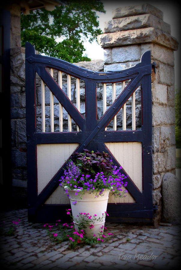Maymont Photograph - Maymont Gate by Tina Meador Maymont Photograph - Maymont Gate by Tina Meador