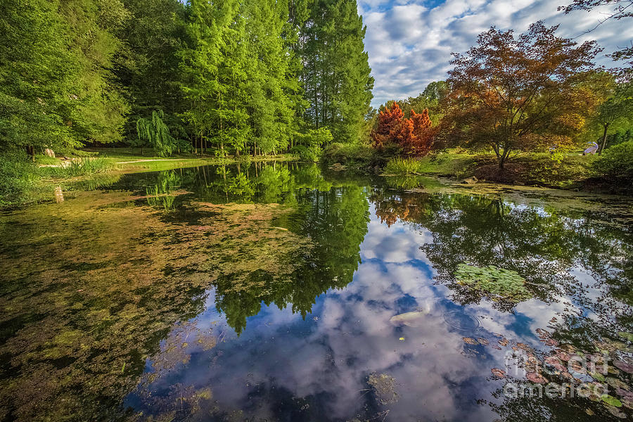 Maymont Koi Pond Reflection Photograph by Karen Jorstad