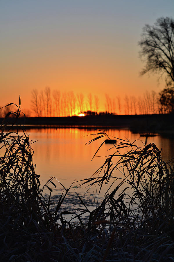 Mayne Pond Sunrise 2 Photograph by Bonfire Photography