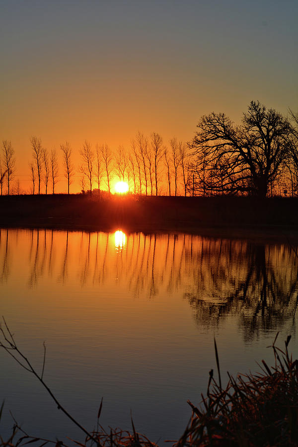 Mayne Pond Sunrise 3 Photograph by Bonfire Photography
