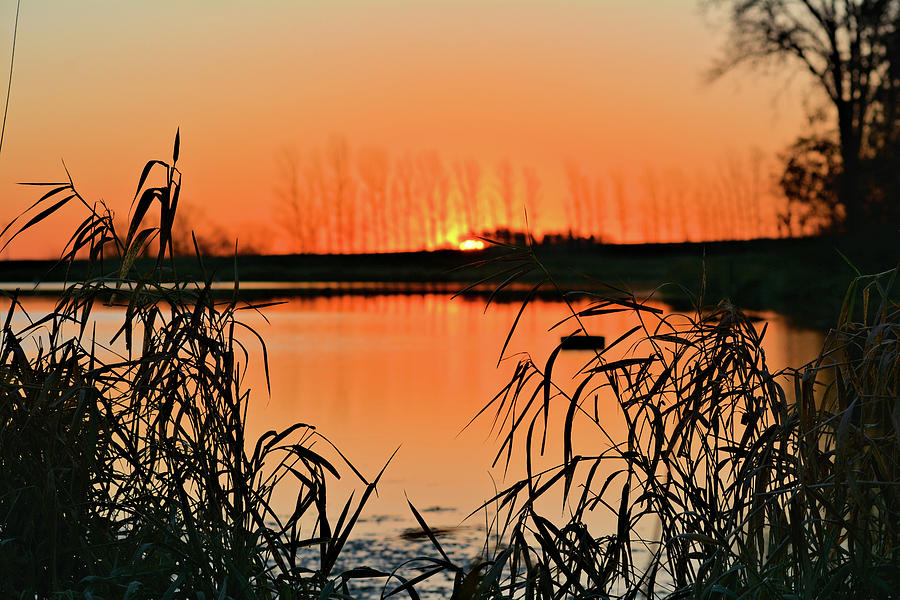 Mayne Pond Sunrise Photograph by Bonfire Photography