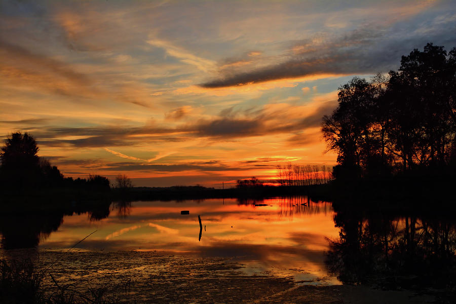 Maynes Grove Sunrise 2 Photograph by Bonfire Photography